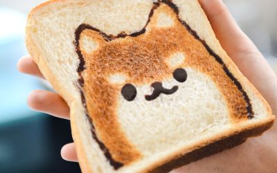 Memperpanjang Umur Simpan Makanan