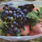 Solusi Inovatif Menanggulangi krisis Plastik Global